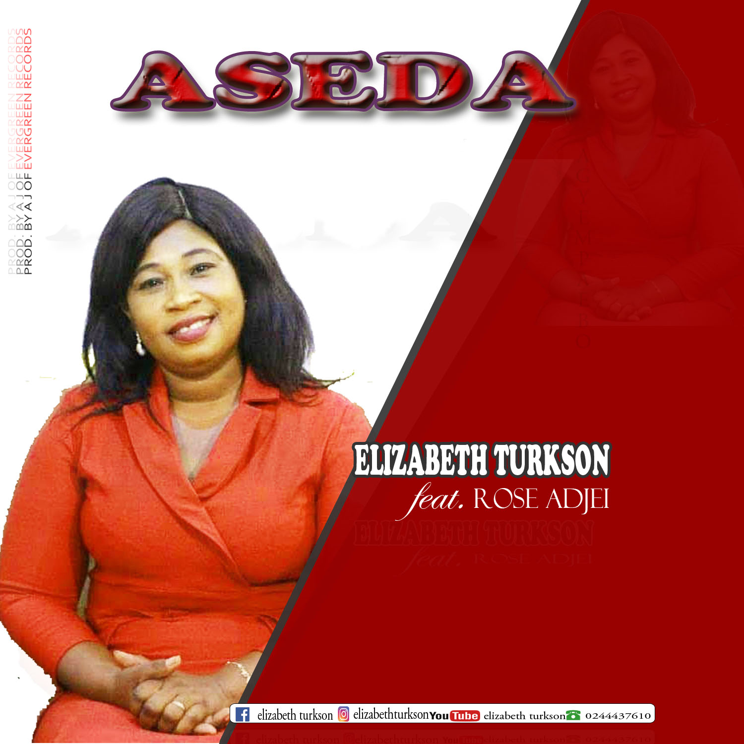 Elizabeth Turkson -Aseda